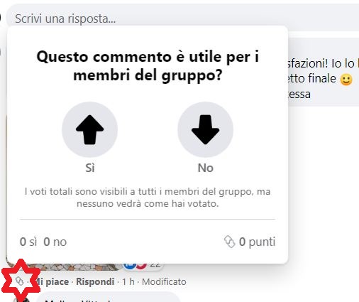 immagine di come è possibile votare i commenti sui gruppi di Facebook