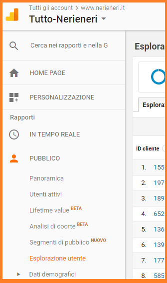 screenshot porzione menù analytics google